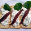 Flatbreads with tartar sauce and anchovy fillets