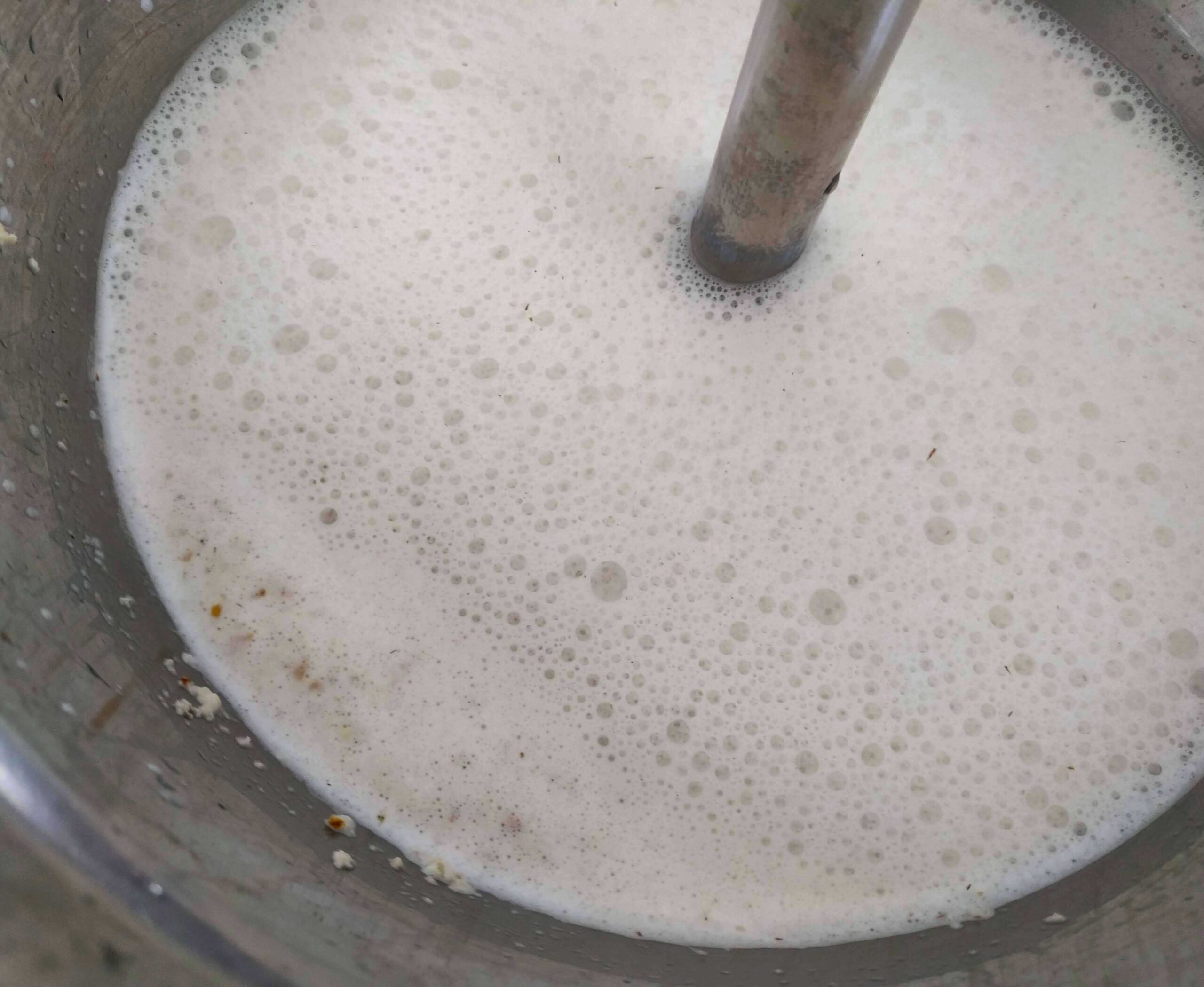 Homemade tiger nut milk-in progress