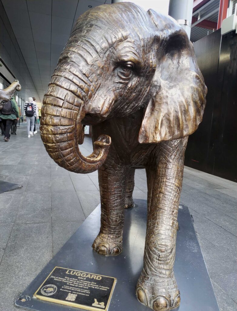 One of the elephant statues at Old Spitalfields Market raising awareness of orphaned elephants in Africa